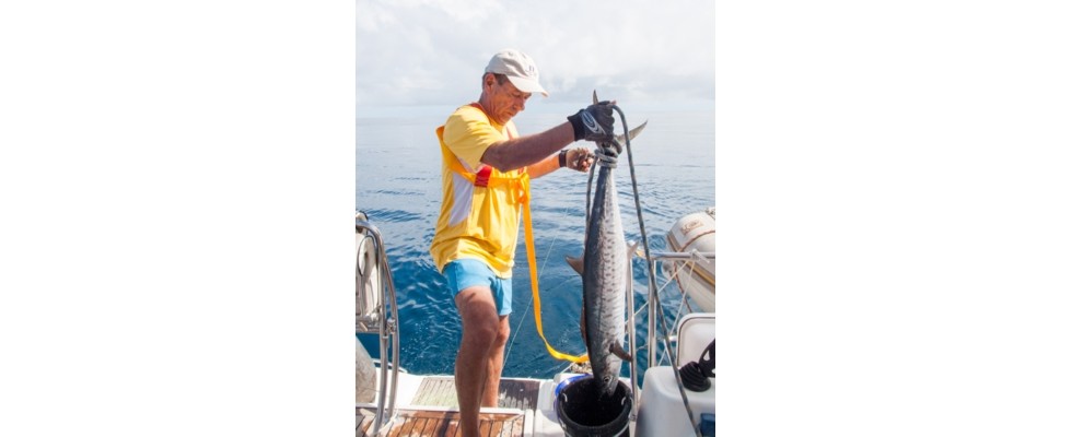 Fishing Holidays on a Charter Boat - Charter World